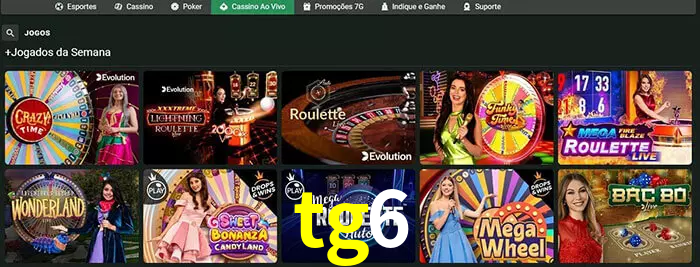 tg6 bet